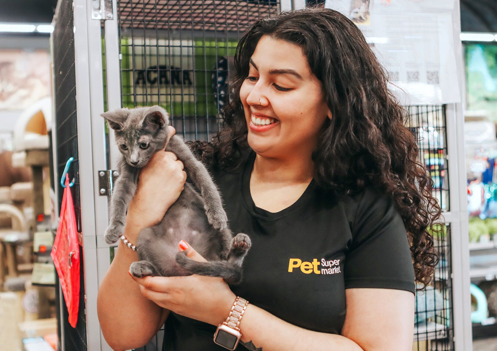 Pet supermarket kittens 2025